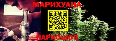 крисы Аргун