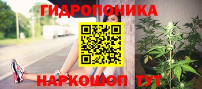 наркотики Будённовск