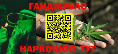 крисы Аргун