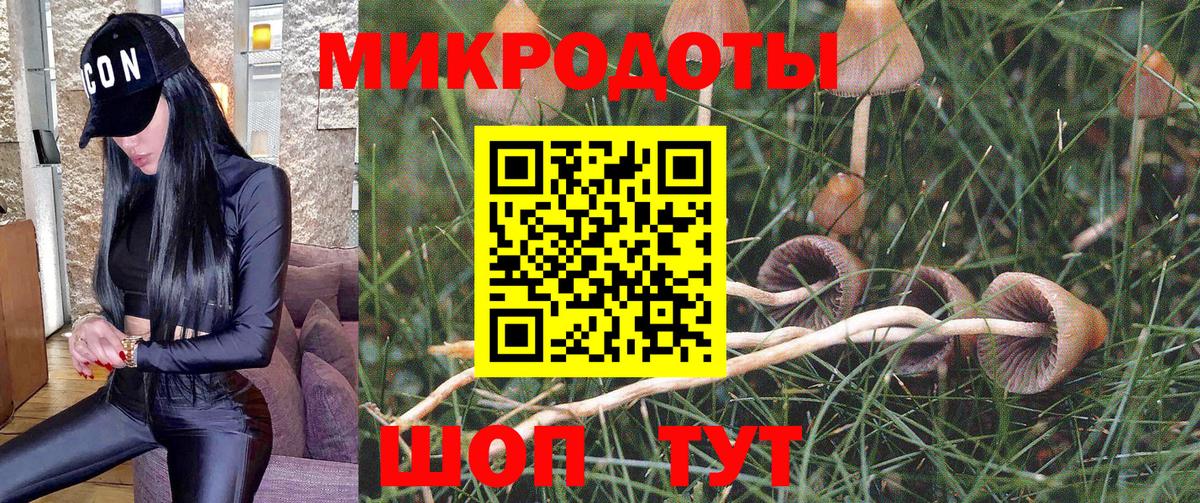 Галлюциногенные грибы Magic Shrooms Березники