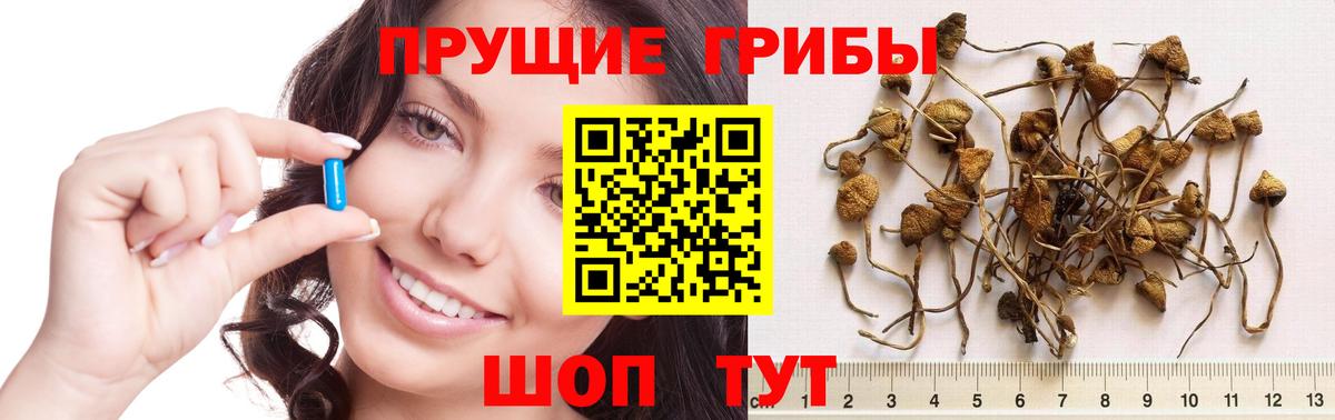 Березники  купить  цена  Вход с VPN  Галлюциногенные грибы прущие грибы  Псилоцибиновые грибы прущие грибы 