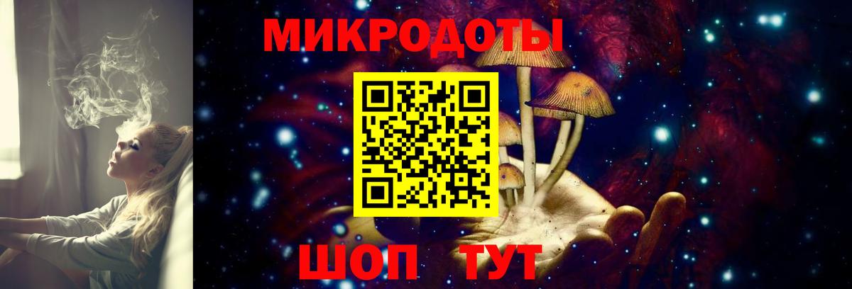 Галлюциногенные грибы Psilocybine cubensis  Галлюциногенные грибы прущие грибы  Вход с VPN  Березники 